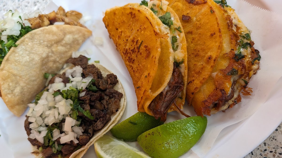 Taqueria Las Katrinas Photos 2